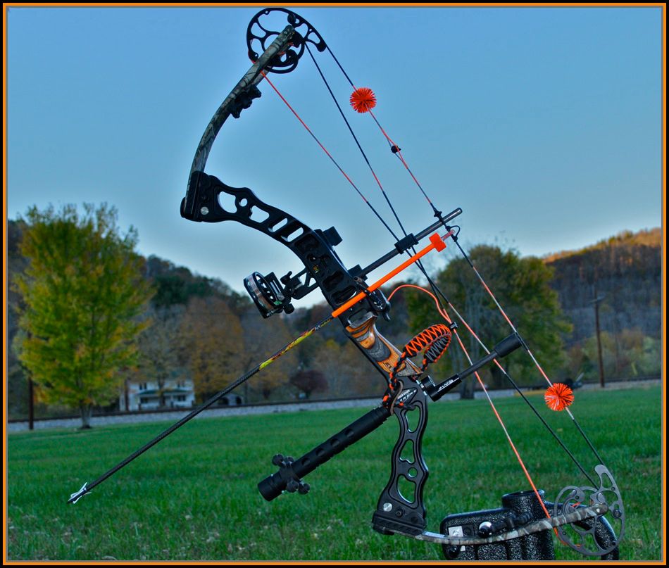 Cat whisker bow pics!!!! Archery Talk Forum